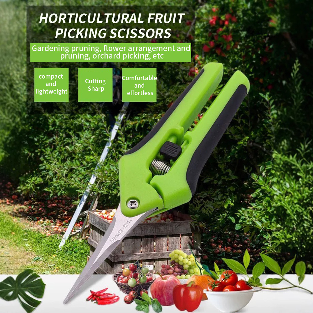 Gardening Tools And Uses - ：Pointed Fruit Picking Shears 1Pc Spring