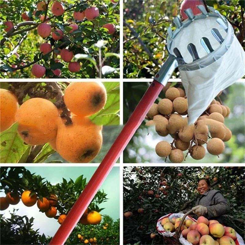 Garden Fruit Picker, Telescopi - огляд і ціна Gardening Tools Scissors