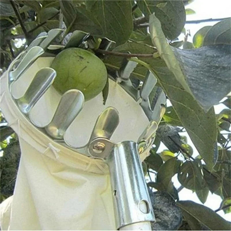 Garden Fruit Picker, Telescopi - огляд і ціна Gardening Tools Scissors