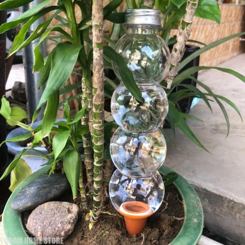 1Pc Creative Automatic Plant W - огляд і ціна Gardening Tools For Home
