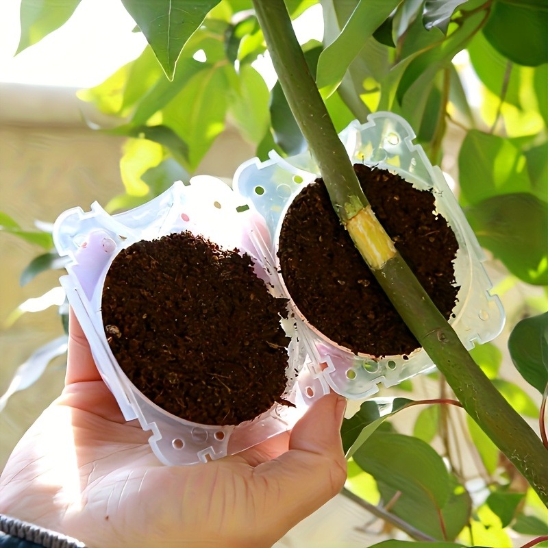 10Pcs High Pressure Plant Root - огляд і ціна Gardening Tools And Equipment